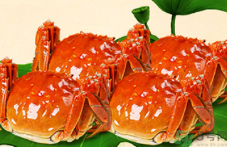 螃蟹吃什么东西?,什么螃蟹最好吃 螃蟹吃什么东西?,什么螃蟹最好吃