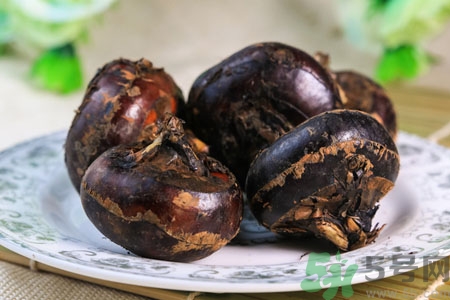 荸荠煮多长时间才能熟,荸荠煮多长时间最好