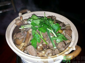 狗肉的营养价值及功效,狗肉的营养价值及功效禁忌