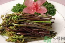 蕨菜的功效和作用及食用方法,蕨菜的功效和作用及禁忌症