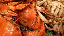 吃螃蟹不能吃哪些药,吃螃蟹不能吃的食物有哪些