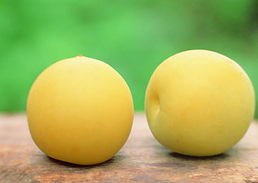 黄元帅和红富士苹果营养有什么不同,黄元帅苹果和红富士苹果营养价值一样吗