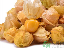 孕妇吃了姑娘果怎么办能解吗,孕妇吃了姑娘果怎么办会造成胎停 孕妇吃了姑娘果怎么办能解吗,孕妇吃了姑娘果怎么办会造成胎停