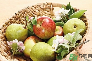 苹果和梨怎么榨汁好喝,苹果梨榨汁好喝吗