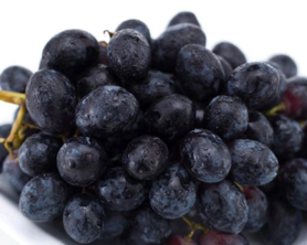 黑加仑皮的功效和作用,黑加仑的功效和作用图片 黑加仑皮的功效和作用,黑加仑的功效和作用图片