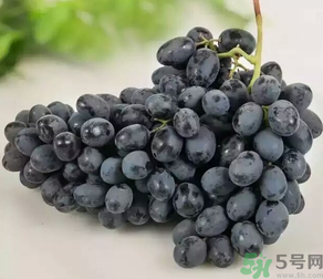 黑加仑的功效和作用及禁忌,黑加仑的功效和作用是什么 黑加仑的功效和作用及禁忌,黑加仑的功效和作用是什么