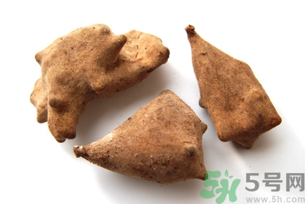 五倍子的功效和作用的功能和主治,五倍子的功效和作用及用量