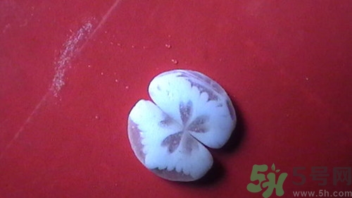 鸡宝是什么样子的图片,鸡宝是什么价格多少钱