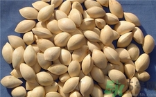 吃白果中毒怎么办,怎样吃白果才能防止中毒