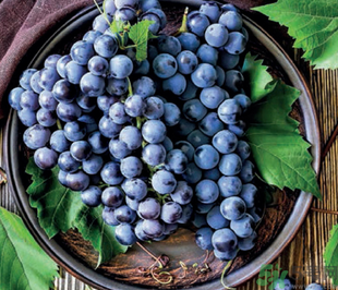 巨峰葡萄怎么洗能洗干净,巨峰葡萄怎么洗才干净