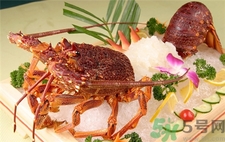 澳洲龙虾的营养价值及功效,澳洲龙虾营养价值和功效