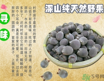 桃金娘的功效和作用,桃金娘的功效和禁忌 桃金娘的功效和作用,桃金娘的功效和禁忌