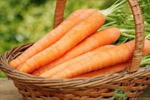 胡萝卜吃了有哪些好处,吃胡萝卜的好处和坏处