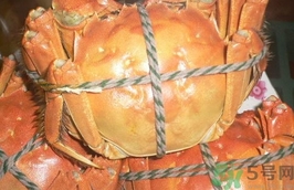 吃西红柿的禁忌,吃西红柿的禁忌和什么不能一起搭配吃的