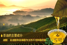 茶油的功效和作用及食用方法,茶油的功效和作用婴儿