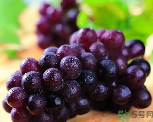 自酿葡萄酒好不好,为什么葡萄可以酿酒