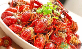 波士顿龙虾不能和什么一起吃,澳洲龙虾不能和什么一起吃