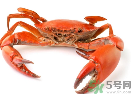 怎么防止螃蟹夹手,手抓螃蟹技巧怎么防止被夹 怎么防止螃蟹夹手,手抓螃蟹技巧怎么防止被夹