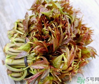 香椿的营养价值和功效和作用,香椿的营养价值和药用价值 香椿的营养价值和功效和作用,香椿的营养价值和药用价值