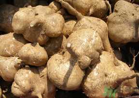 地瓜和什么不能一起吃吗,请问地瓜和什么不能一起吃