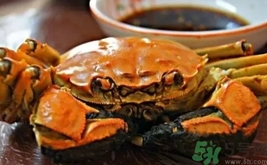 活螃蟹怎么保存才新鲜,能保存多久,鲜活的大闸蟹如何保存 活螃蟹怎么保存才新鲜,能保存多久,鲜活的大闸蟹如何保存