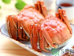 怎样保存螃蟹才能活着,螃蟹保存方法保鲜不死