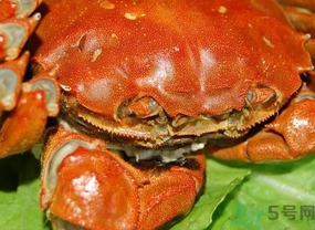 吃大闸蟹的注意事项,大闸蟹的食用方法及禁忌 吃大闸蟹的注意事项,大闸蟹的食用方法及禁忌