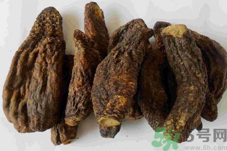 肉苁蓉的功效和作用,肉苁蓉的功效和作用适合哪些人