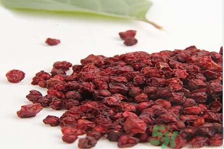 五味子的禁忌人群,五味子有什么功效?