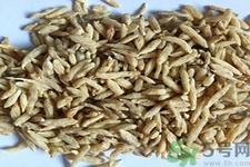 麦冬的功效和作用,麦冬的功效和作用禁忌 麦冬的功效和作用,麦冬的功效和作用禁忌