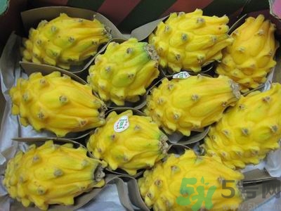 麒麟果禁忌,送麒麟给朋友什么讲究