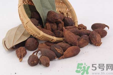 草果和罂粟有什么区别,草果和罂粟果的区别