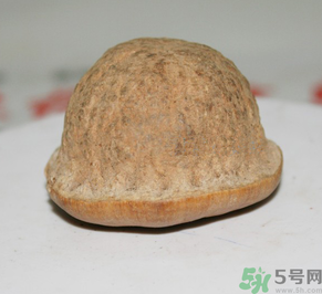 壮阳果真的有壮阳效果吗,壮阳果真的能壮阳吗