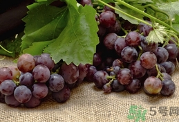 提子不能和什么一起吃/同吃,提子不能和什么一起吃?