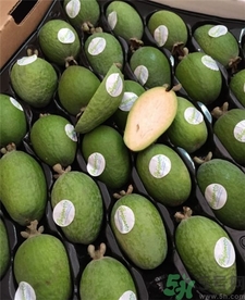 斐济果的营养价值,斐济果的功效和作用