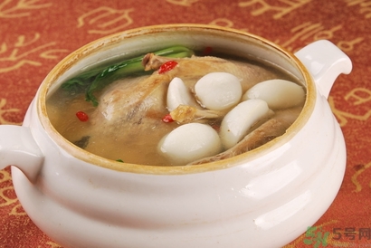 海底椰的功效和作用,海底椰的功效和禁忌