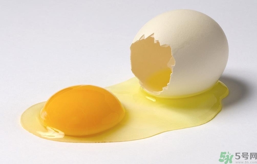 鸽子蛋鸡蛋哪个有营养,鸽子蛋和鸡蛋营养价值
