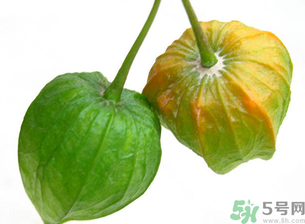 野生红姑娘有什么作用,野生红姑娘能吃吗