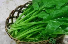 菠菜的功效和作用及营养价值,菠菜的功效和作用禁忌