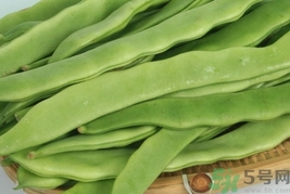 扁豆的功效和作用禁忌,扁豆的功效和作用的功能和主治