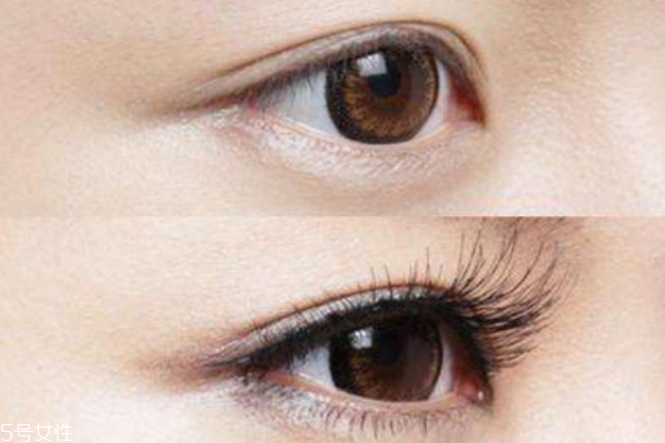 头发太多适合的发型,头发特多的人适合什么发型