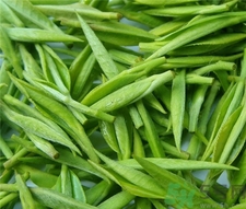 常喝绿茶的好处和坏处,什么绿茶好喝