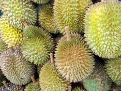 吃榴莲有什么禁忌,吃榴莲的禁忌 七大禁忌需谨慎