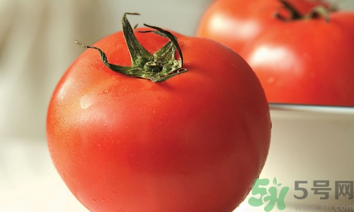 吃西红柿的好处和功效,吃西红柿的好处和坏处