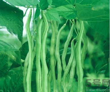 豆角的热量是多少大卡,豆角的热量是多少