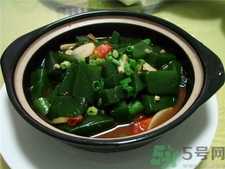 神仙树是什么树有什么用,神仙树是什么