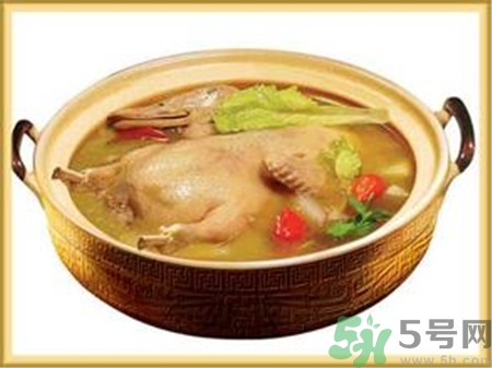 鸭油的功效和作用,鸭油的功效和作用禁忌