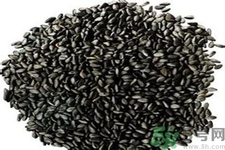 黑芝麻能不能丰胸,黑芝麻可以丰胸吗