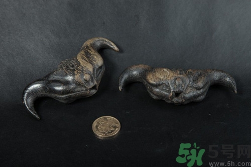 新鲜菱角怎么存放比较好?,菱角可以放多久 新鲜菱角怎么存放比较好?,菱角可以放多久