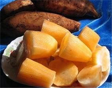 雪莲果的营养价值及功效,雪莲果的营养价值及功效和禁忌